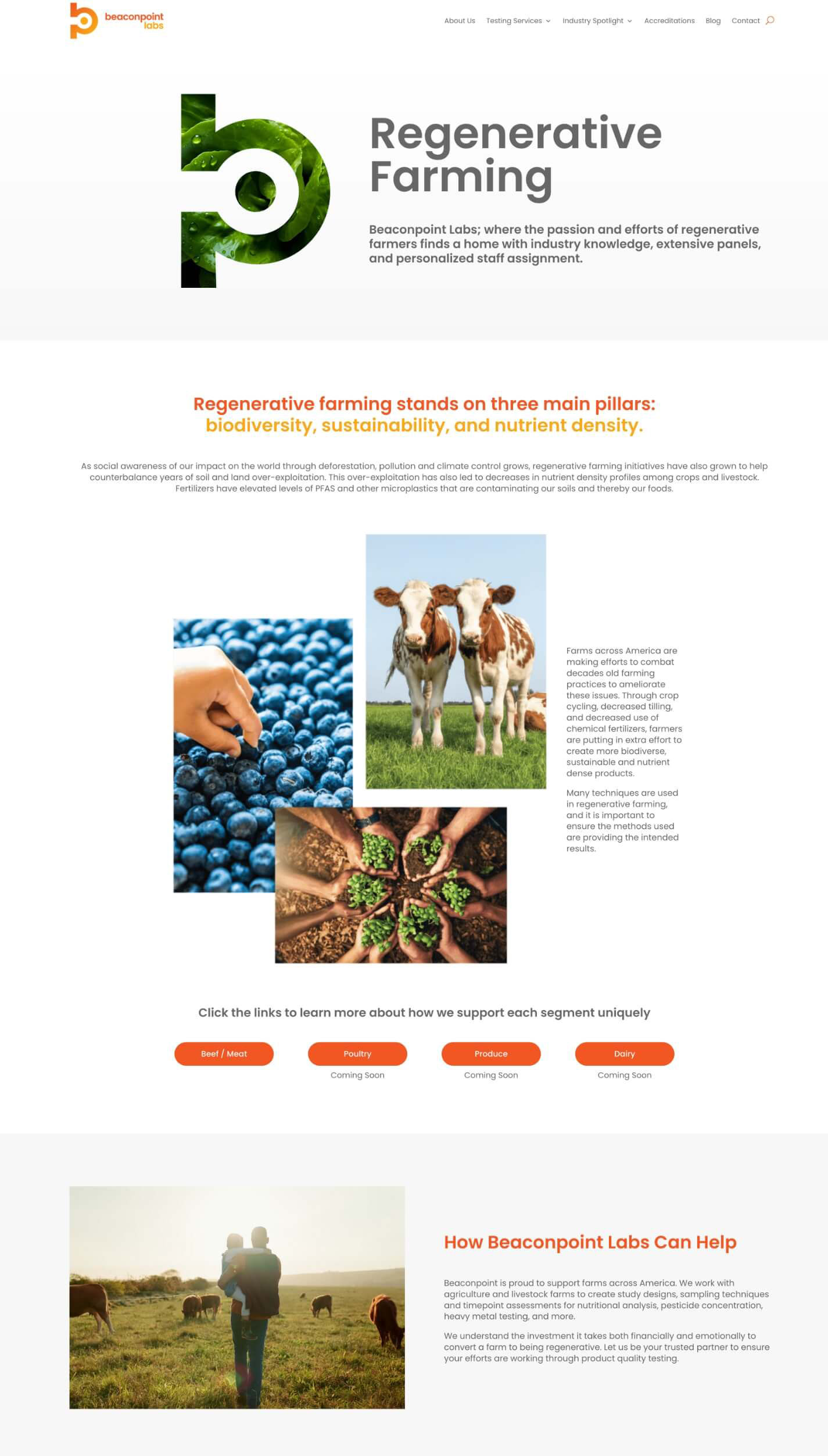 BPL-website-page-design-1 Web page design for biotech food testing laboratory